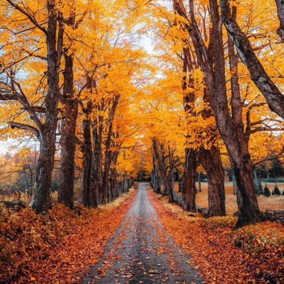 Meet your Posher, Tuttie - Picture 1 of 1